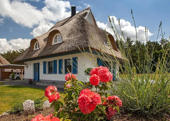 Forsthaus, Exclusives 5-sterne Reetdachhaus Für 6 Personen In Ferienhaus *